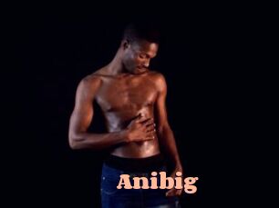 Anibig