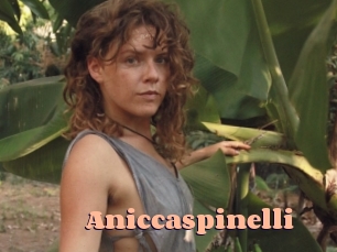 Aniccaspinelli
