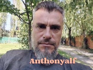 anthonyalf Chatte Rasée