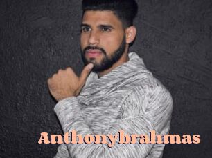 anthonybrahmas Chatte Rasée