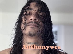 Anthonywes