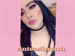 Antonellabitch