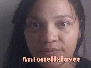 Antonellalovee