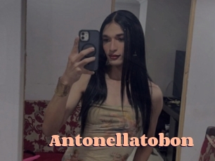 Antonellatobon