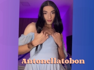 antonellatobon Chatte Rasée