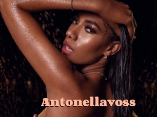 Antonellavoss
