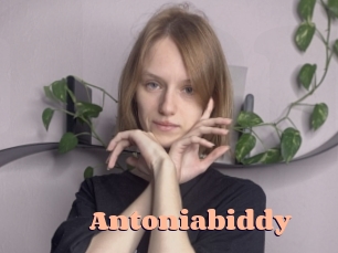 Antoniabiddy