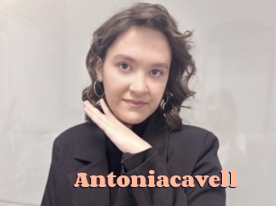 Antoniacavell