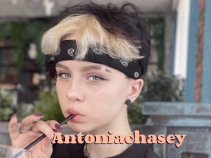 Antoniachasey
