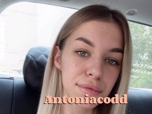 Antoniacodd