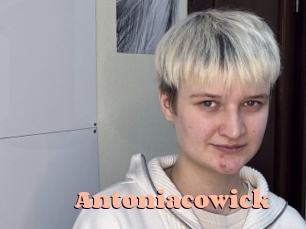 Antoniacowick