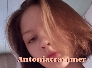 Antoniacrammer