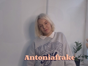 antoniafrake Chatte Rasée