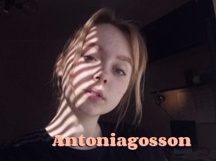 Antoniagosson