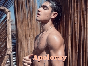 apoloray Chatte Rasée