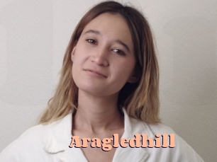Aragledhill