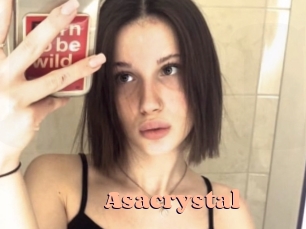asacrystal Chatte Rasée