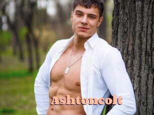 Ashtoncolt