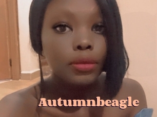 Autumnbeagle