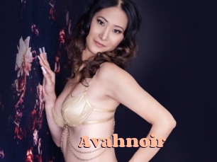 avahnoir Chatte Rasée