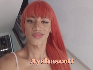 ayshascott Chatte Rasée