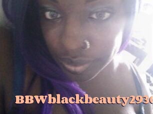 BBWblackbeauty2930