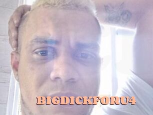 BIGDICKFORU4