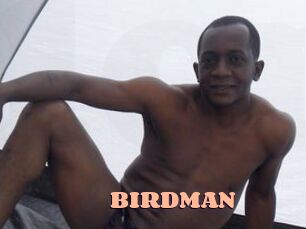 BIRDMAN Chatte Rasée