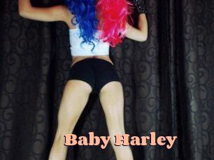 Baby_Harley
