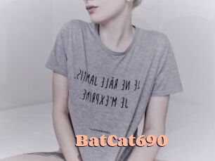 BatCat690