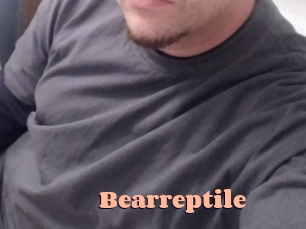Bearreptile Chatte Rasée