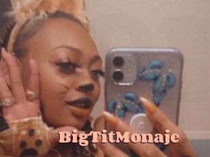BigTitMonaje