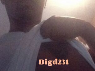 Bigd231