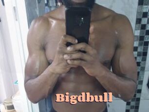 Bigdbull