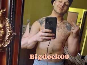 Bigdock00