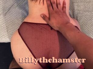 Billythehamster