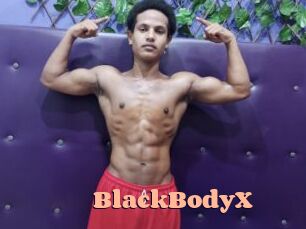 BlackBodyX