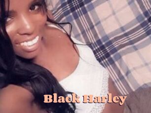 Black_Harley