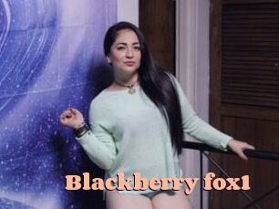 Blackberry_fox1