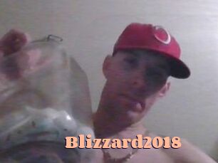 Blizzard2018