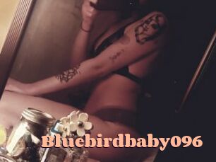 Bluebirdbaby096