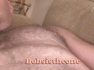 Bobsistheone