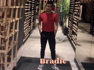 Bradie Chatte Rasée