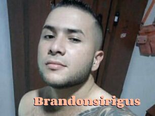 Brandonsirigus