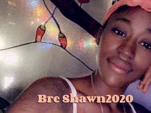 Bre_Shawn2020
