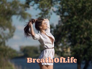 BreathOfLife Chatte Rasée