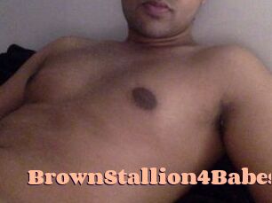 BrownStallion4Babes