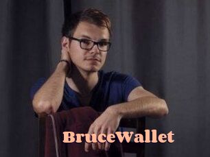 BruceWallet