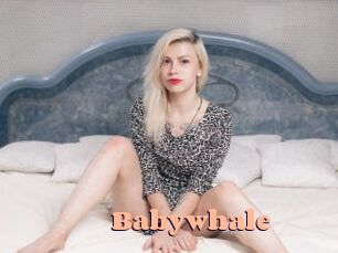 Babywhale