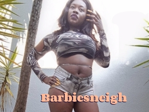 Barbiesneigh